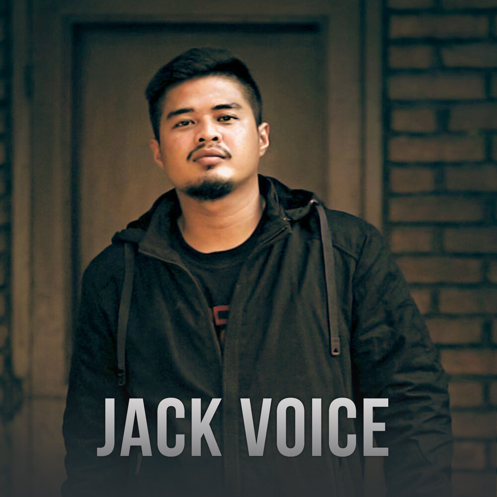 Voice jack