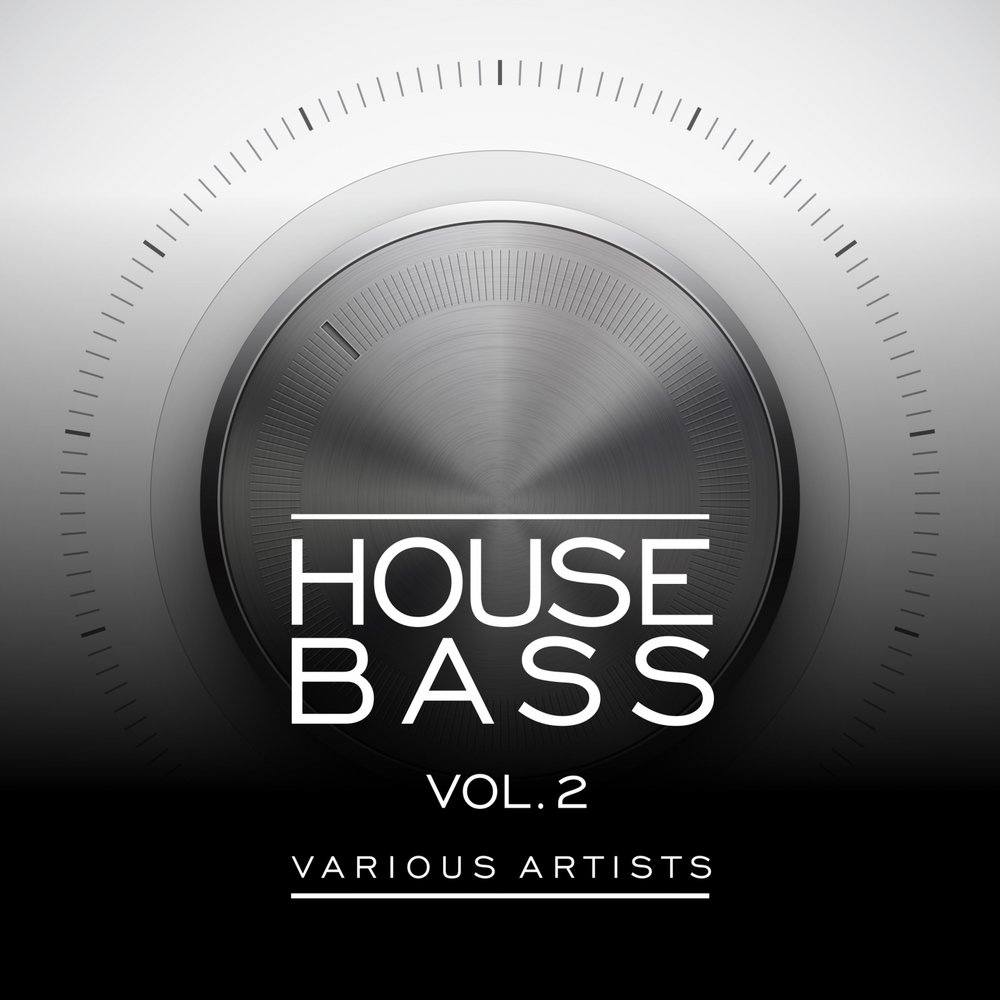 Слушать house music. Басс Хаус. Bass House Music. Bass House Mix афиша. Vol Bass.