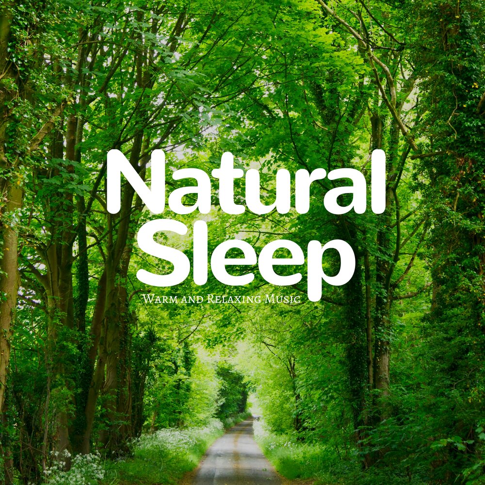 Nature song. Natural Music. Nature Sounds Relax and Sleep. Nature to Sleep. Nature Soundscapes - Relaxing Music.