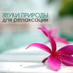 Музыка природы