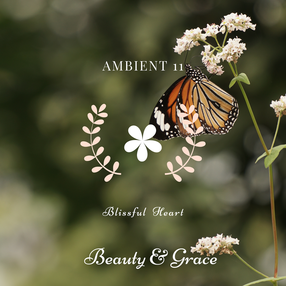 Cosmo ambient. Ambient heaven. Ambient heaven kari. Ambient 11. Ambient 11.