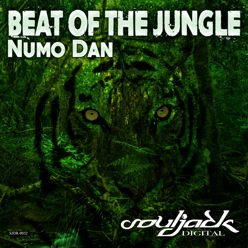 Jungle слушать. Numo. Numo House отзывы.