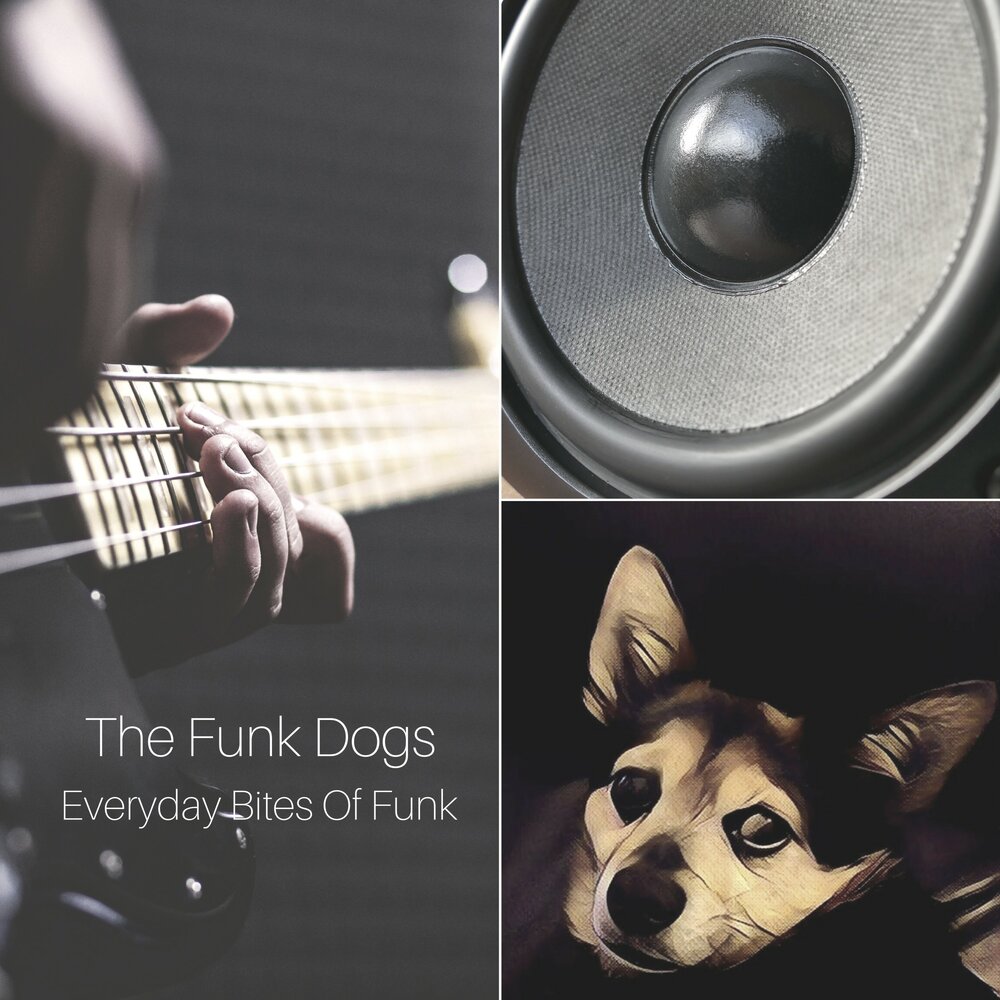 Звук собаки слушать. Музыкальный альбом the Dogs.... Funky Dog перевод. D00d the Funky Dog. Beck little Happy Funky Dog bet Black Red.