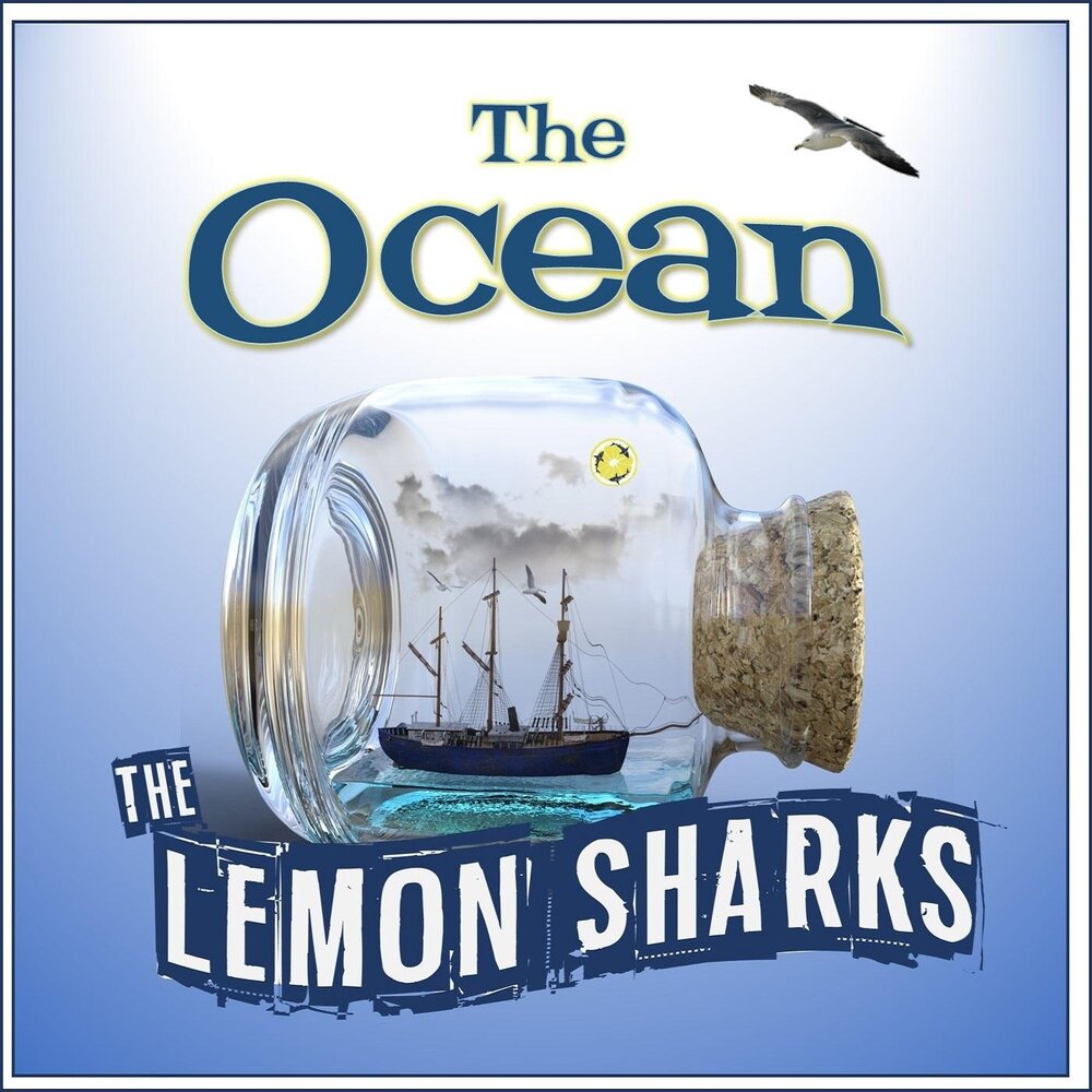 Follow the ocean. Deamn певица. Ocean песня. Follow for part 2. океан лимон.