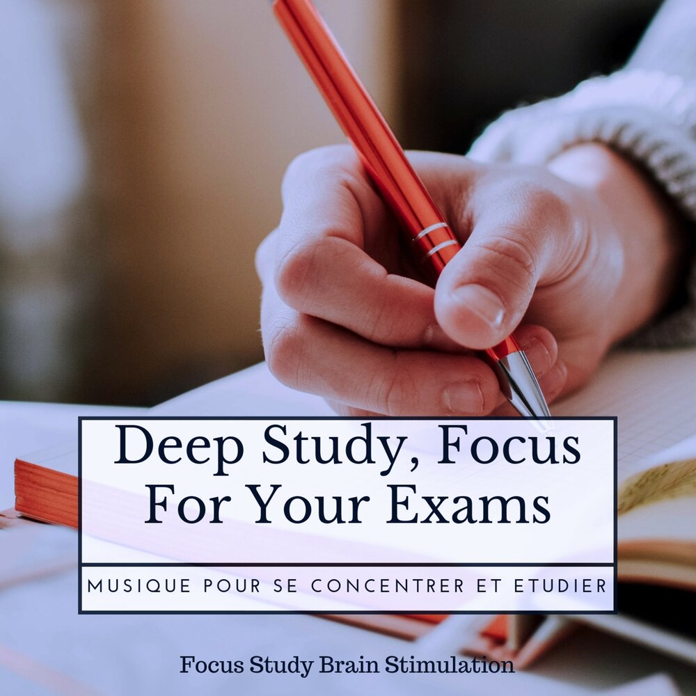 Study focus. Focus study. Focus on study. Deep study.