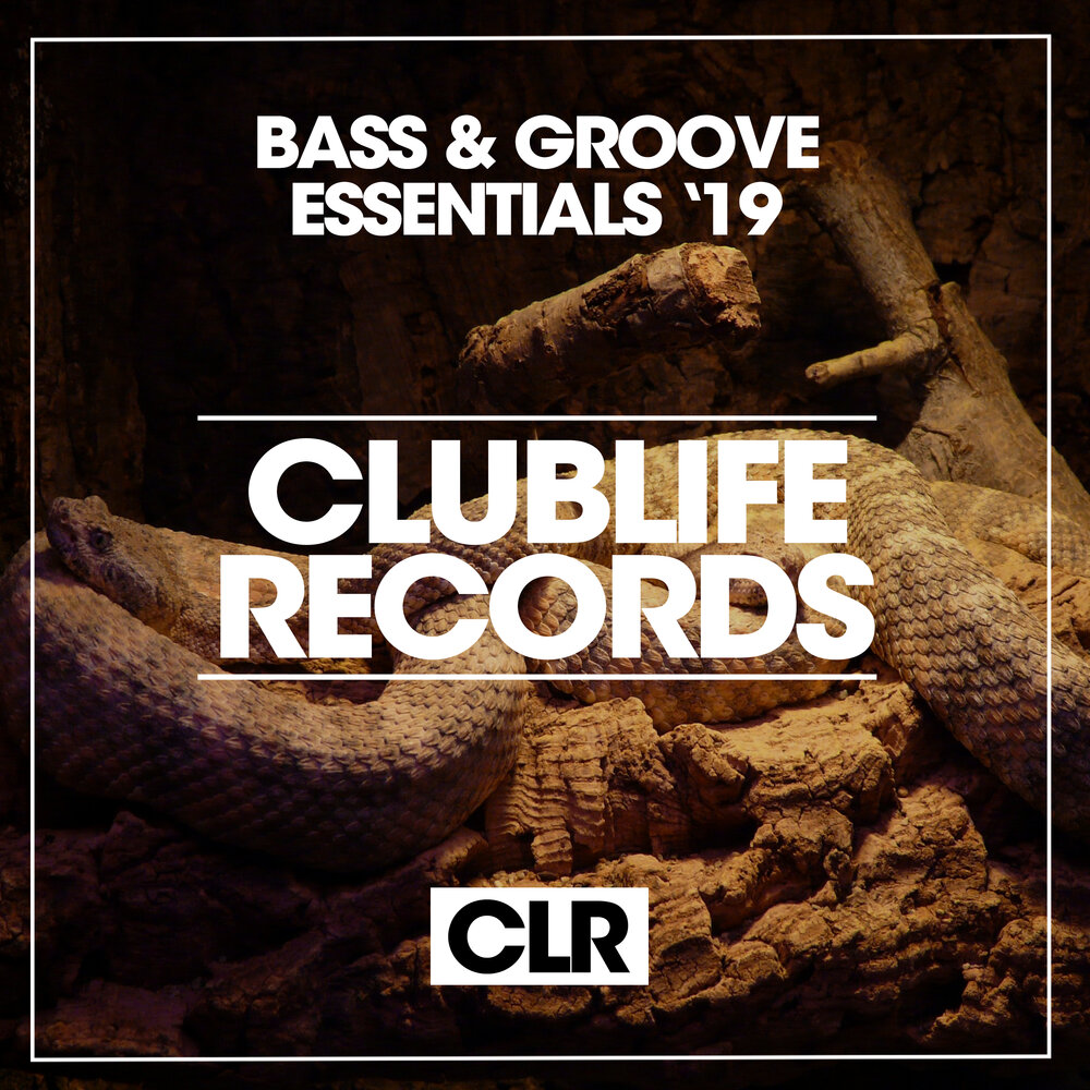 Bass groove. Groove Essentials.