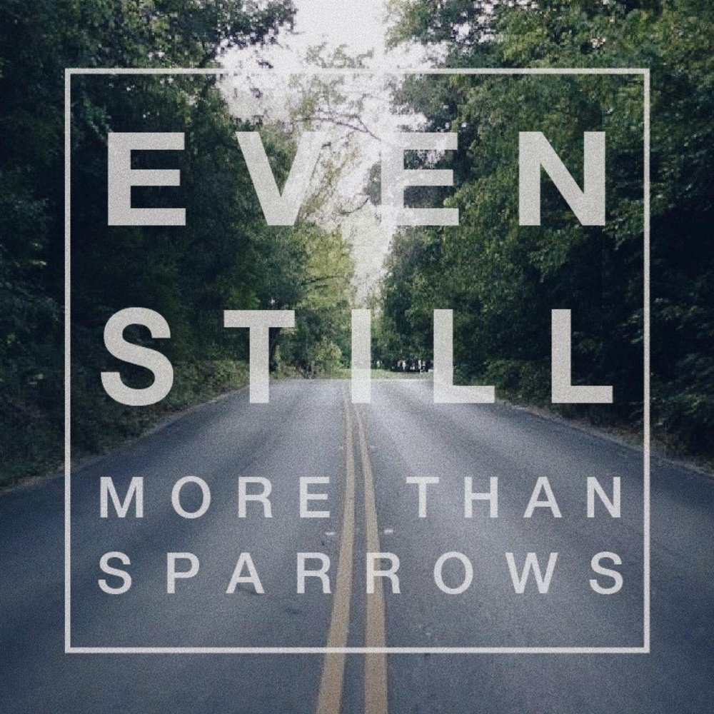 Papa datte shitai ep 8. Still love you перевод на русский язык. The power of one донна саммер. Katherine cordova. You should kill yourself now.