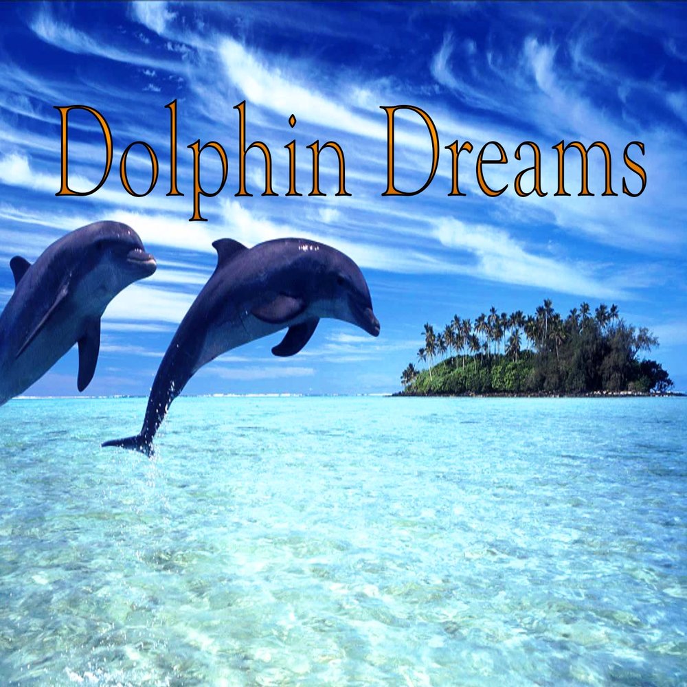 Дельфин альбомы. Dolphin Dreams. Дельфин музыка. Dreaming of Dolphins. Дельфин мечта слушать.