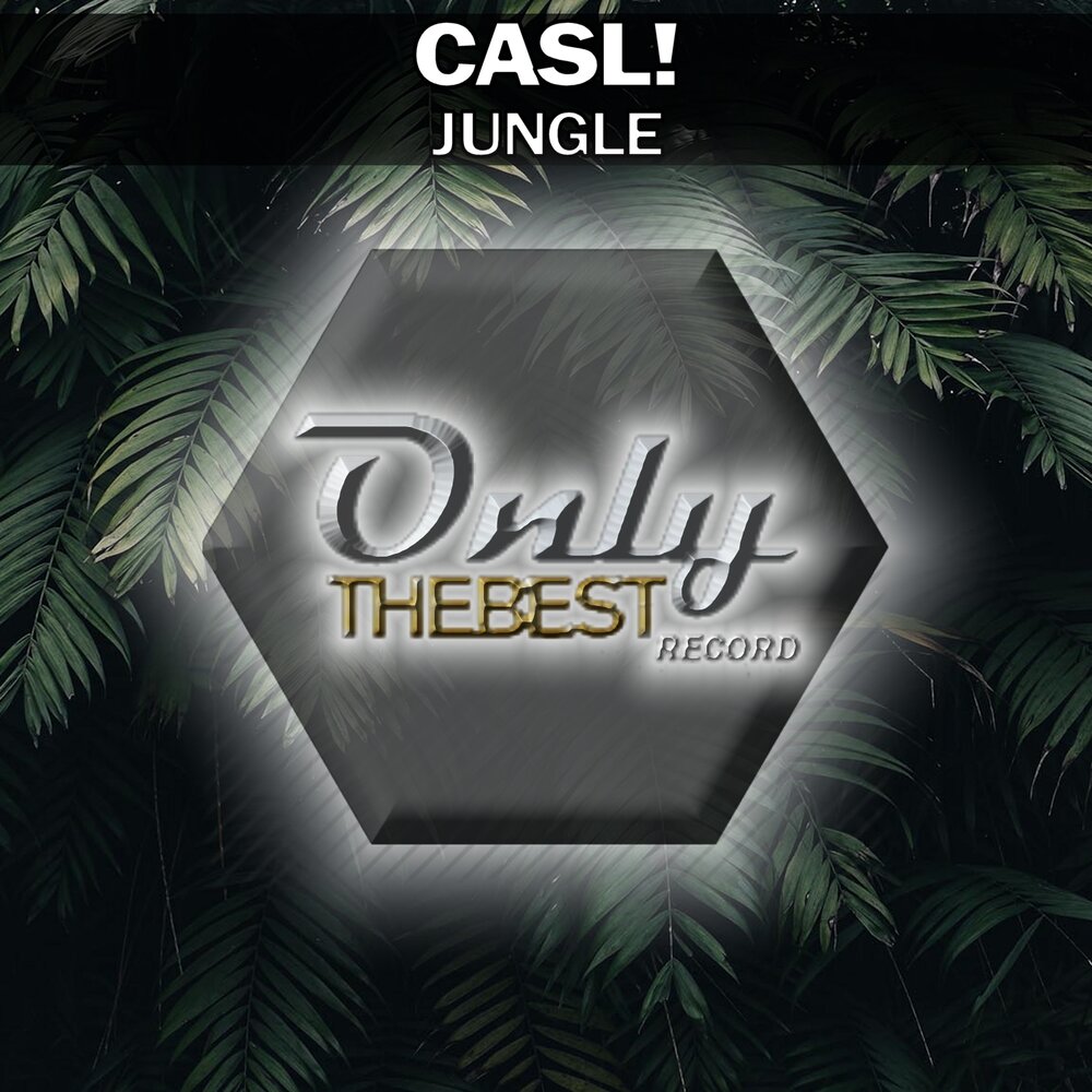 ćasl. Jungle слушать. джунгли обложка. джангл исполнители. песни про джунгли.