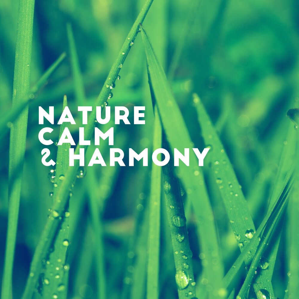 Nature noise. Harmony and Relaxation nature Sounds.