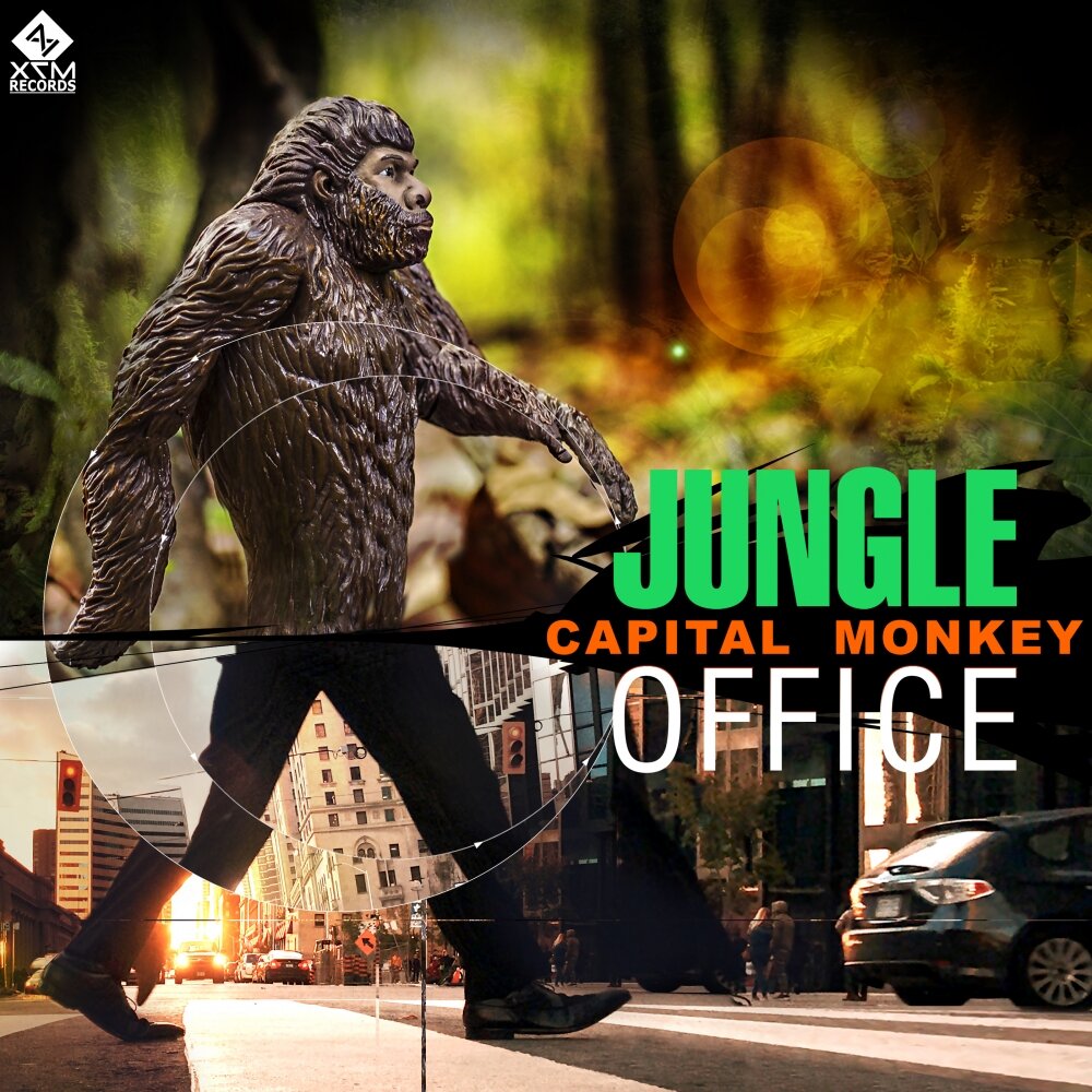 Monkey песня слушать. Capital Monkey – Invisible. Jungle альбом. Компьютерная игра музыкальная обезьяны. Jungle Monkey.