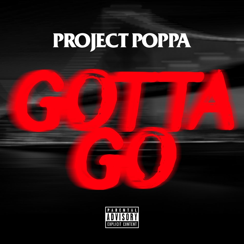 Go project