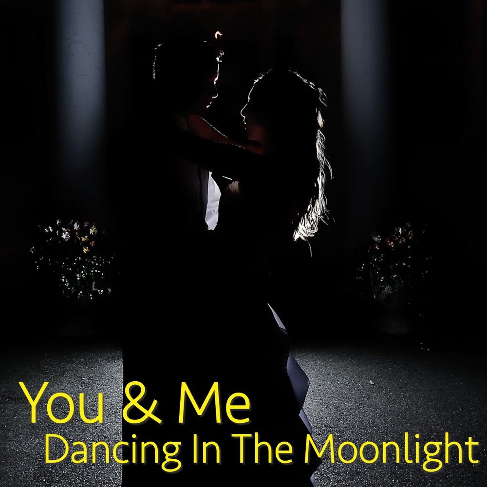 Were Dancing In The Moonlight