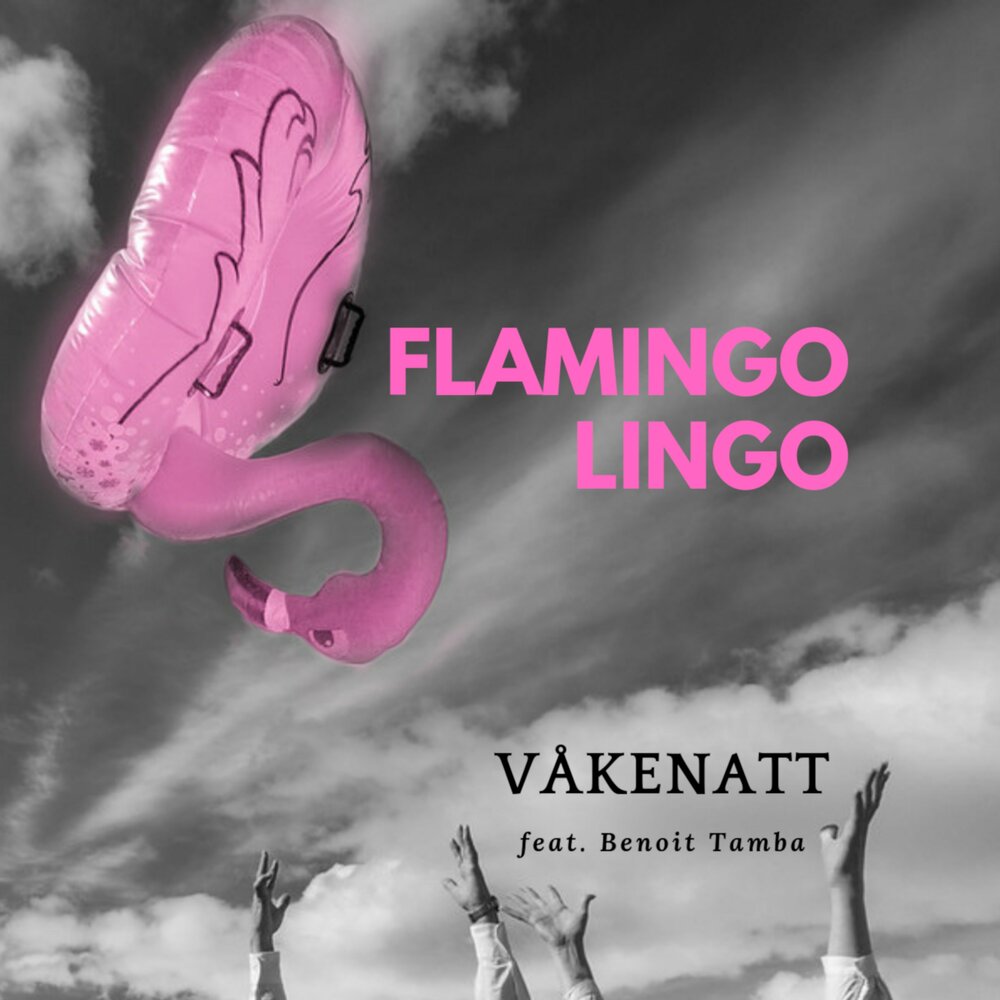 Слушать песню фламинго. Flamingo песня. Обложка для альбома с Фламинго. Манго Фламинго. Песня я Фламинго.