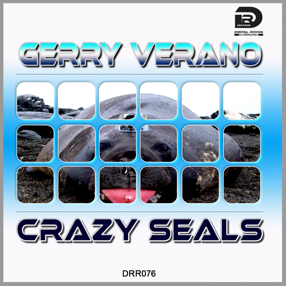 Seal crazy. Seal Seal - Crazy. Seal Crazy 320. Crazy Seal текст.