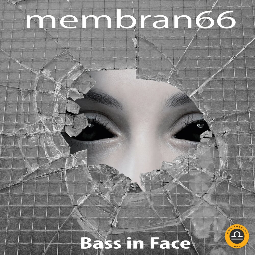 Don't touch my guitar. Bass in my face. Bass in my face. Bass in my face. Bass face.