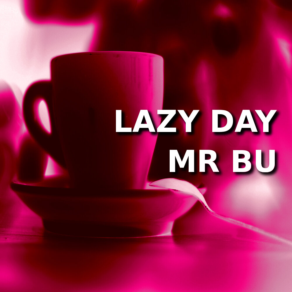 Mr original mix. Lazy Day. Mr.bu.