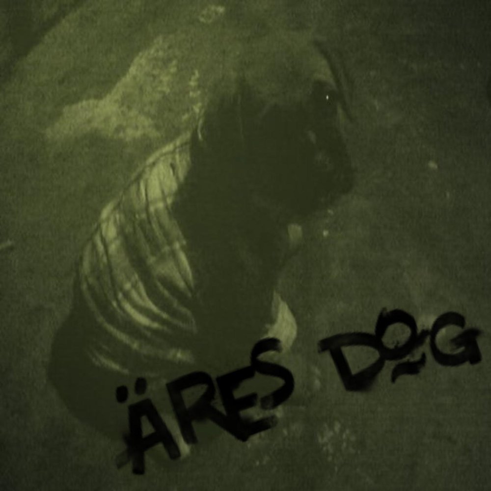 Ares dog. The Dogs are.