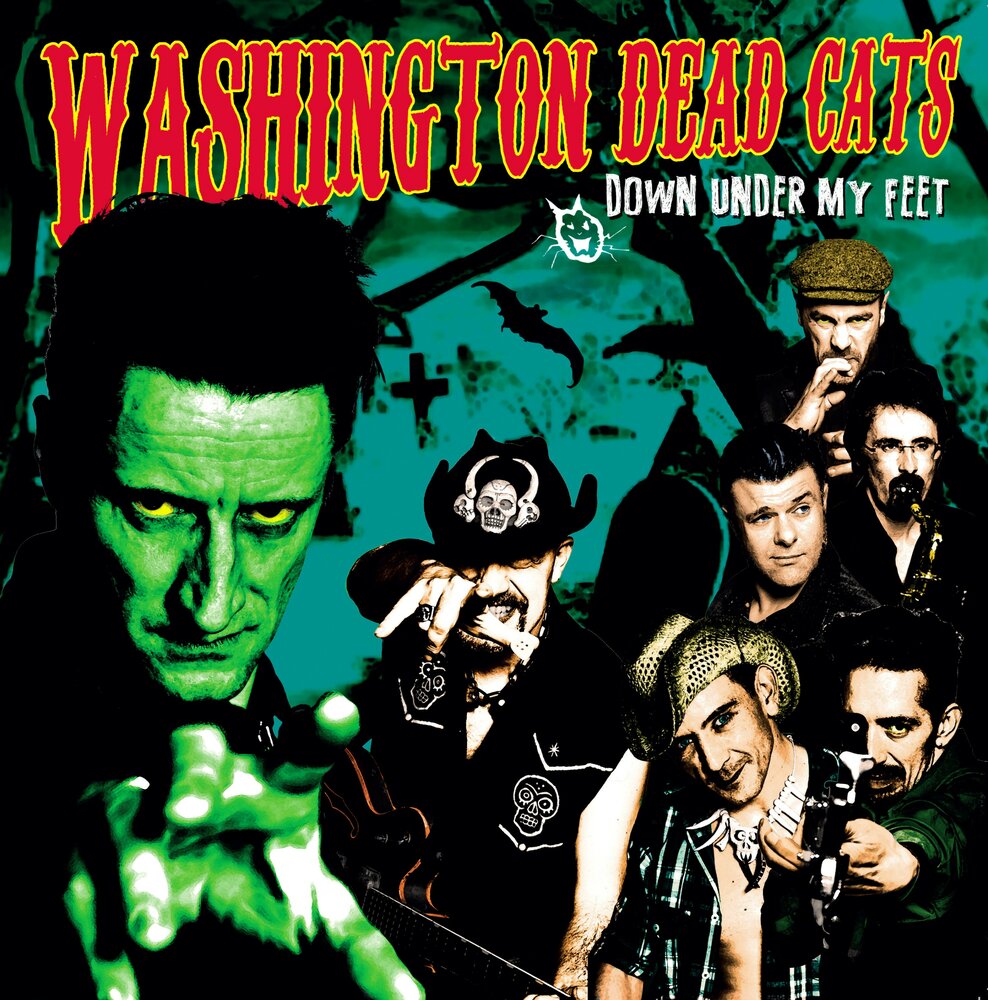 Песня you cat is dead. Washington Dead Cats.