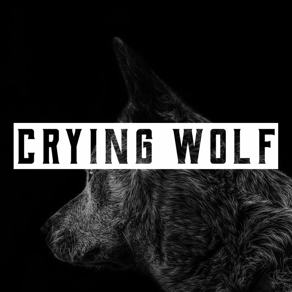 Crying wolf