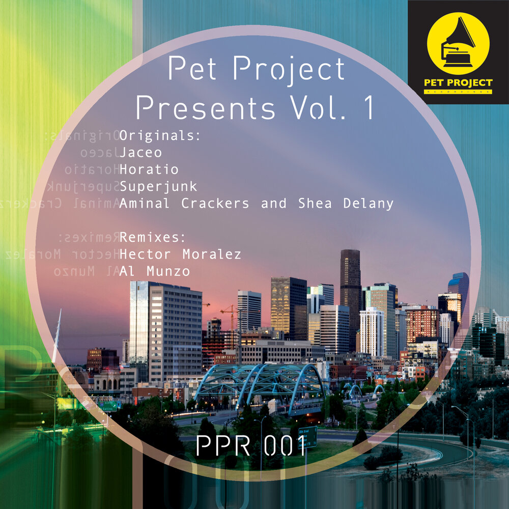 Past vol. Present Project. Pet Project.