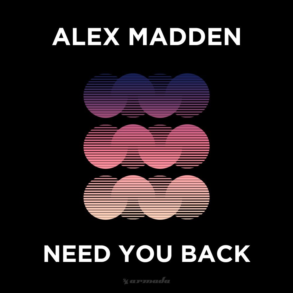 Alex back. Песня back in you. Алекс Найт "моя песня". In the Night (Extended Summer Mix).