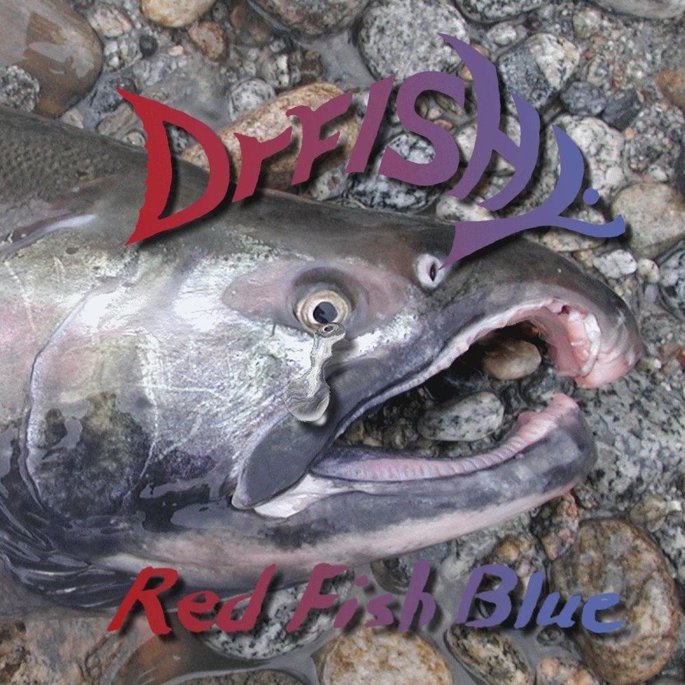 Fish song. One Fish two Fish Red Fish Blue Fish. Фиши.