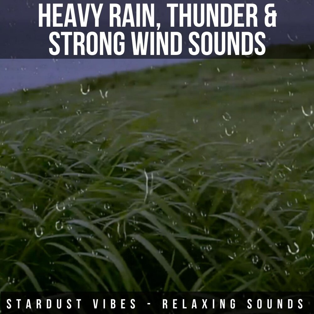 Add strong Wind and Wind with Rain. A strong Wind (blow) and Rain (Fall) heavily. A very strong wind