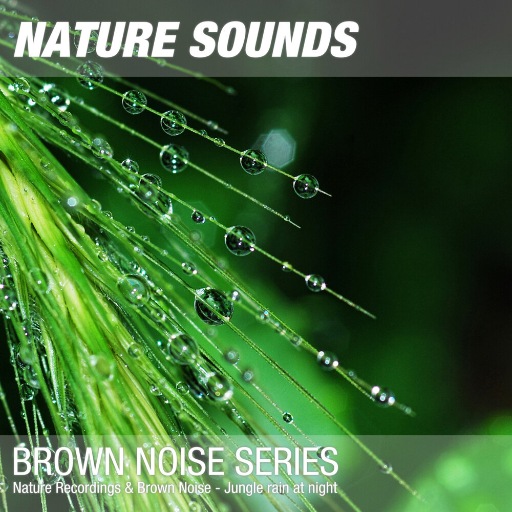 Nature noise