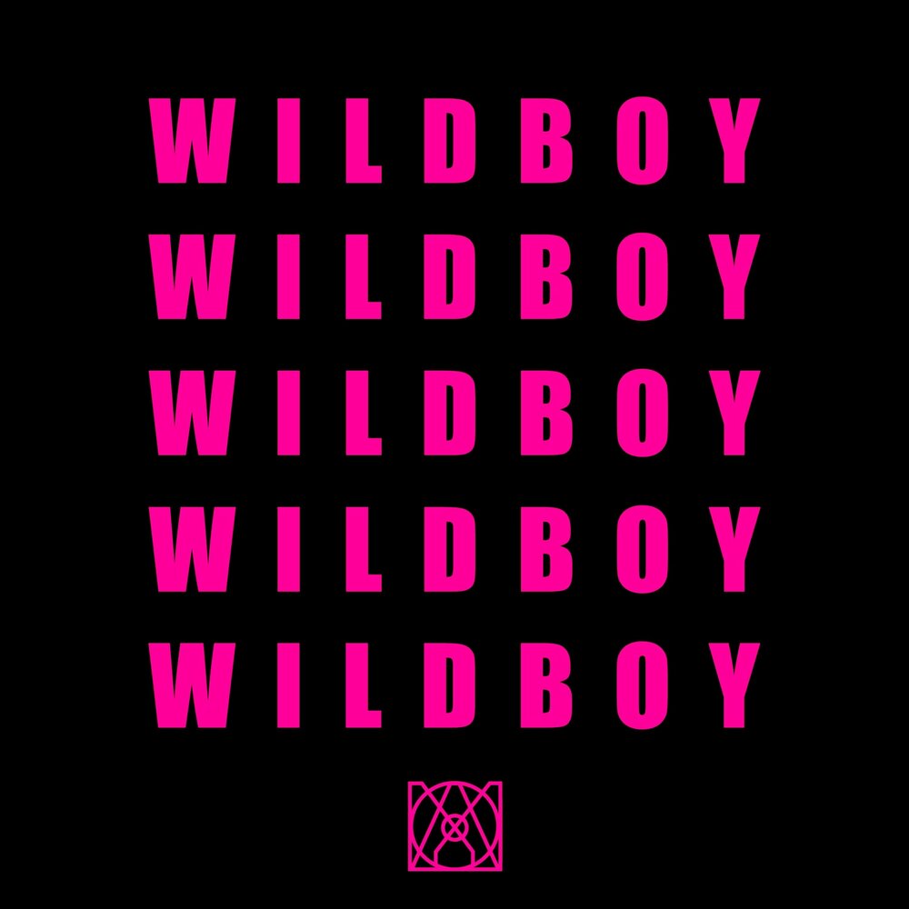 The wild boys. Красивая надпись wild. Machine gun kelly обложка. Wild boy ma55ive the. The wild boys.