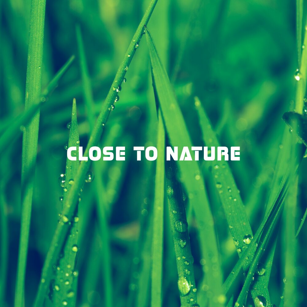 To be closer to nature. Close to nature. Closer to nature. Closer to nature Words.