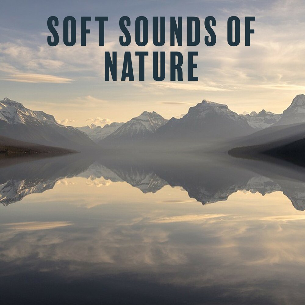 Nature sounds relaxing. Relaxing Sounds of nature. Relaxing Sounds. Sounds of nature.