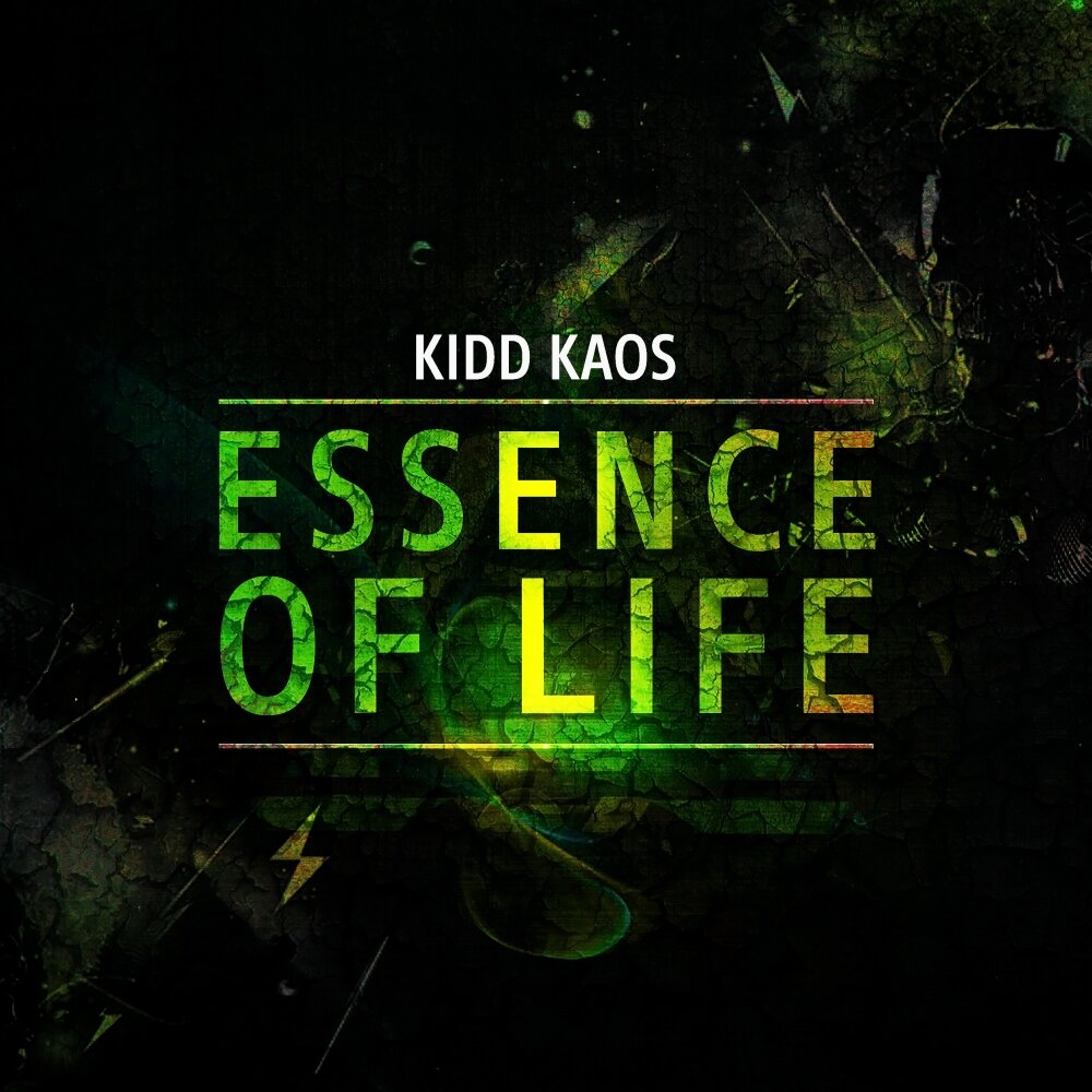 Essence of Life. Essence of Life обложка для группы. Essence of Life одежда. Обложка альбома Kaoss.