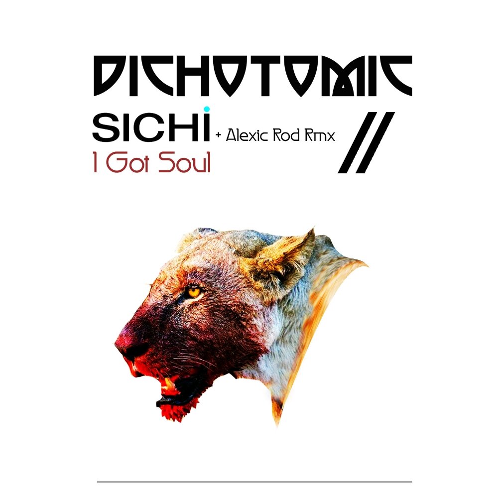 Got Soul ?. Alexic. MAGICPARK Sichi. Dichotomic.