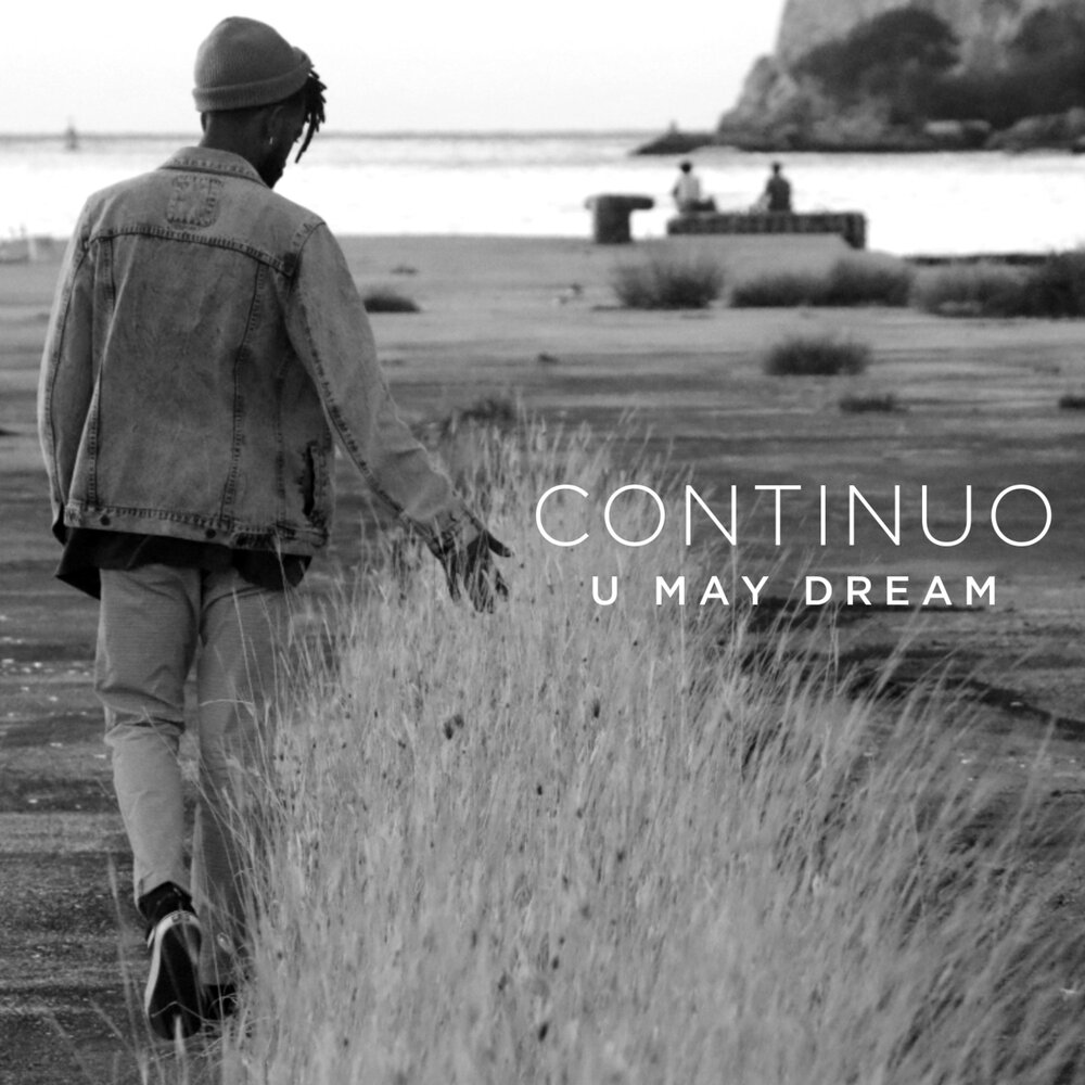 декоративные наволочки детские. робин уильямс куда приводят мечты. May dream. America explain. обложка дримс.