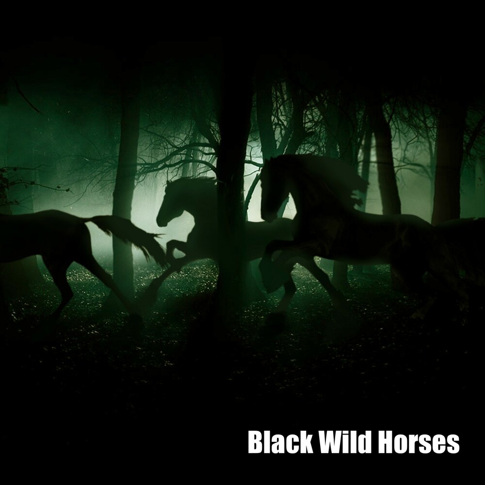 Песня wild horses. Блэк Хорс песня. Wild Black. Raven's Horse Dream.