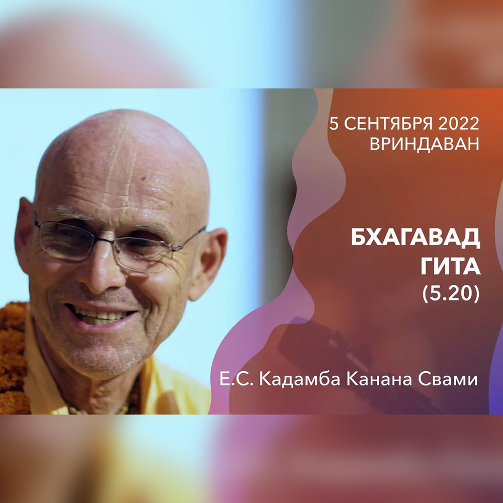 Гребенщиков бхагавад. Кадамба Канана Свами. Плод бхава-Бхакти. Госвами Вриндавана. Кадамба Канана Свами фото.