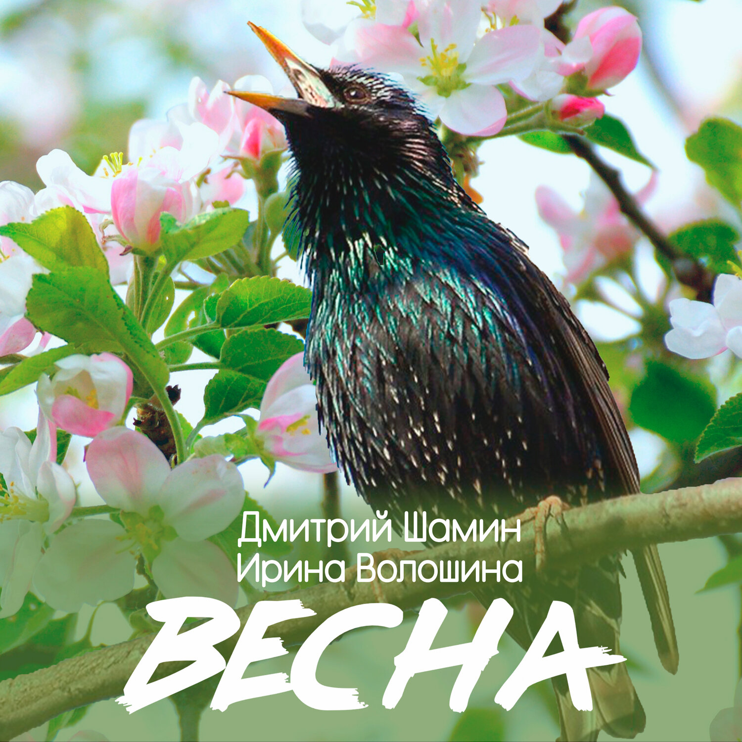 Весна