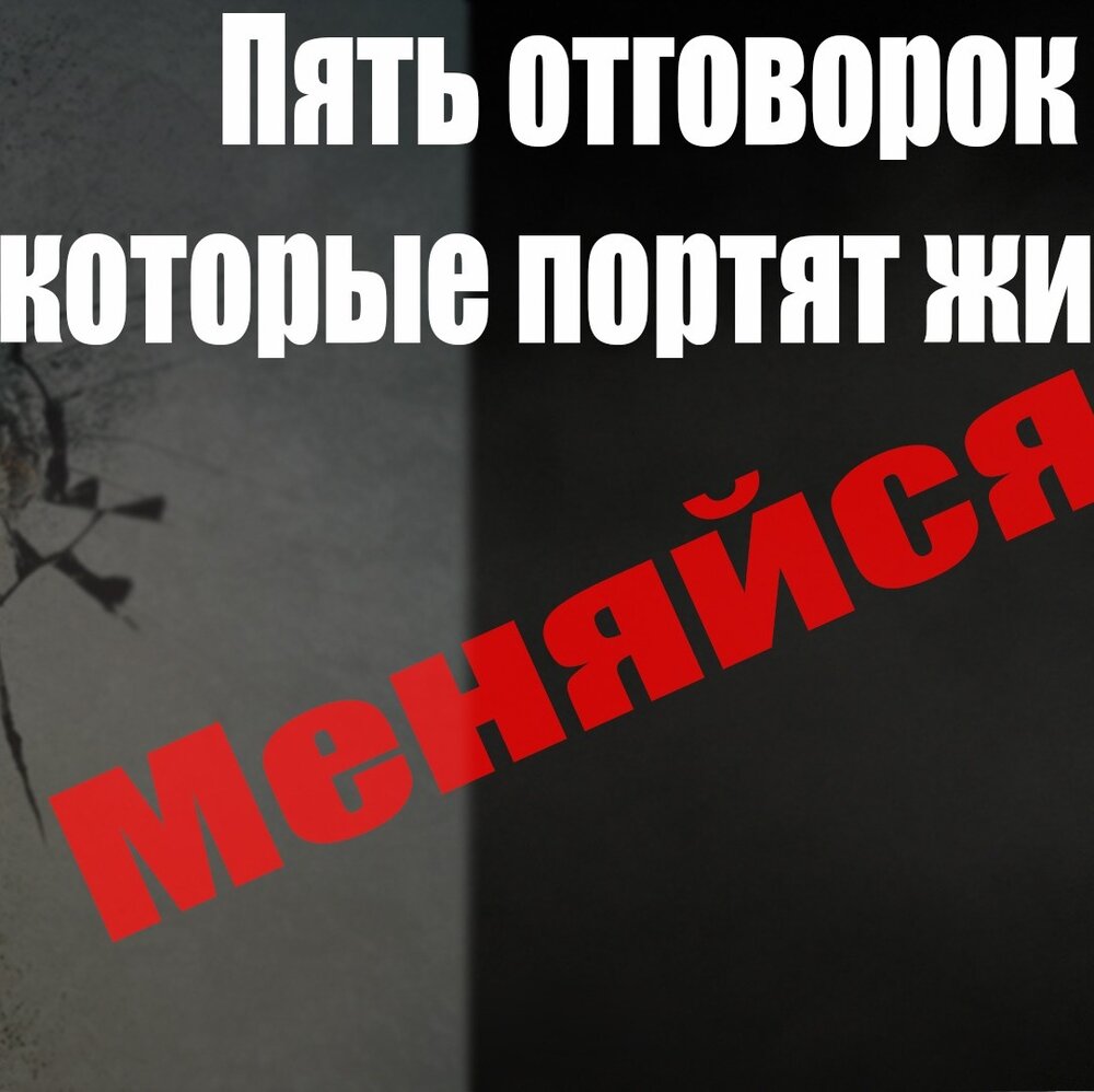 Кот испортил жизнь