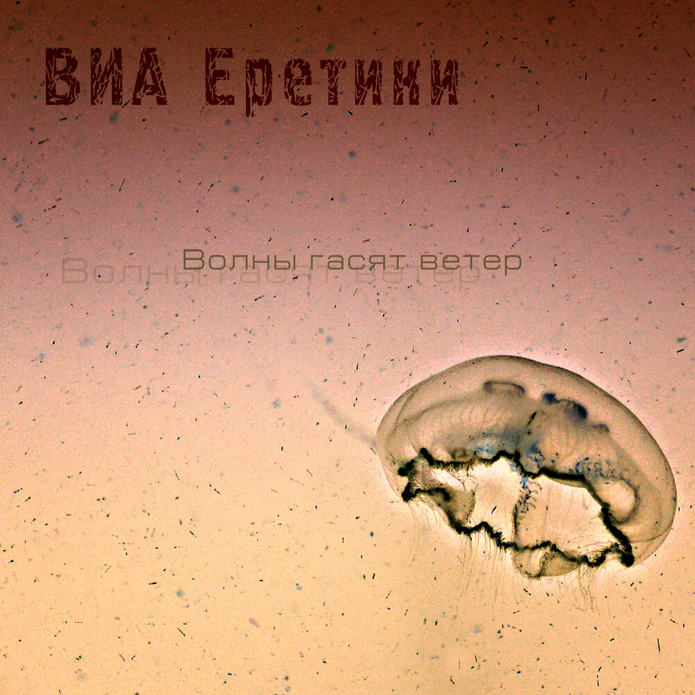 Виа ветер