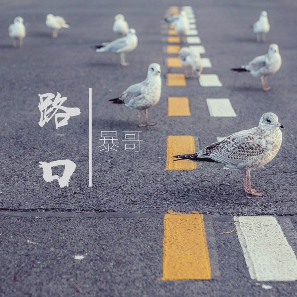 Pigeons on the city road stock image. Image of background - 90966981