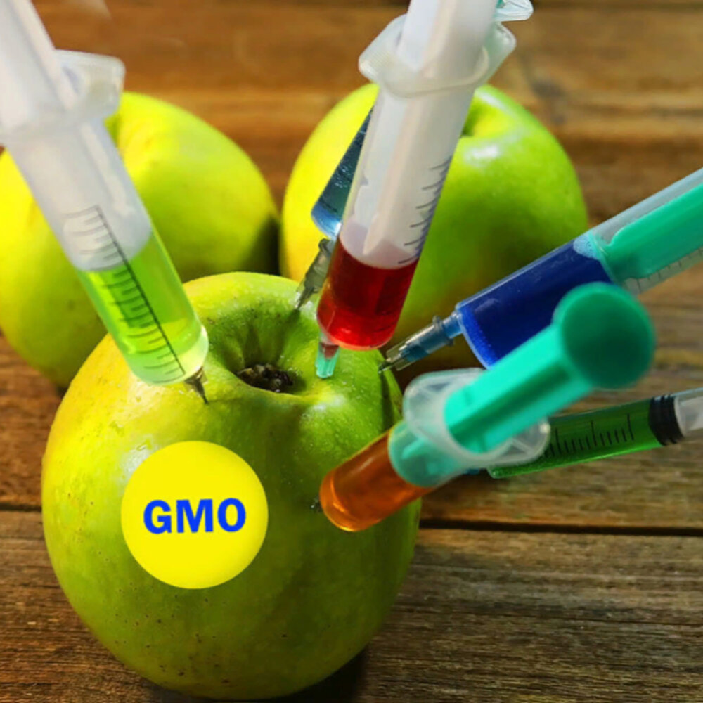 Genetically food. ГМО. ГМО продукты. Генномодифицированные продукты. ГМО продукция.