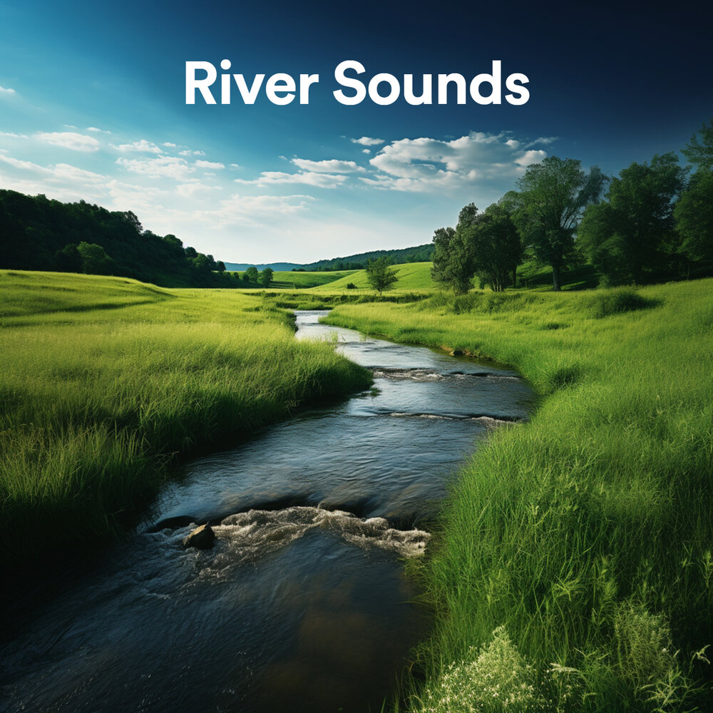 Звук реки слушать. River Sound.