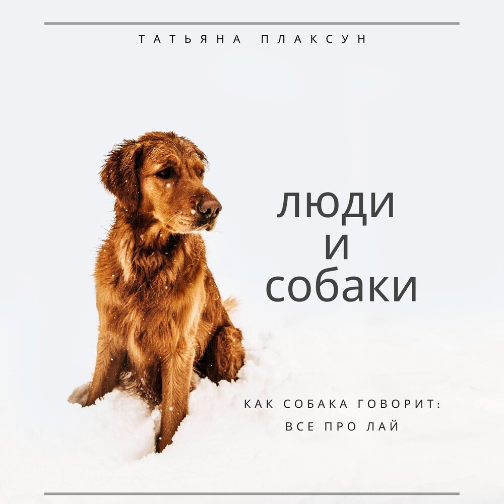 Мелкая собака гавкает. Слушать лай собаки соседям. Лай собаки звук. Слушать лай собаки соседям. Слушать лай собаки соседям.