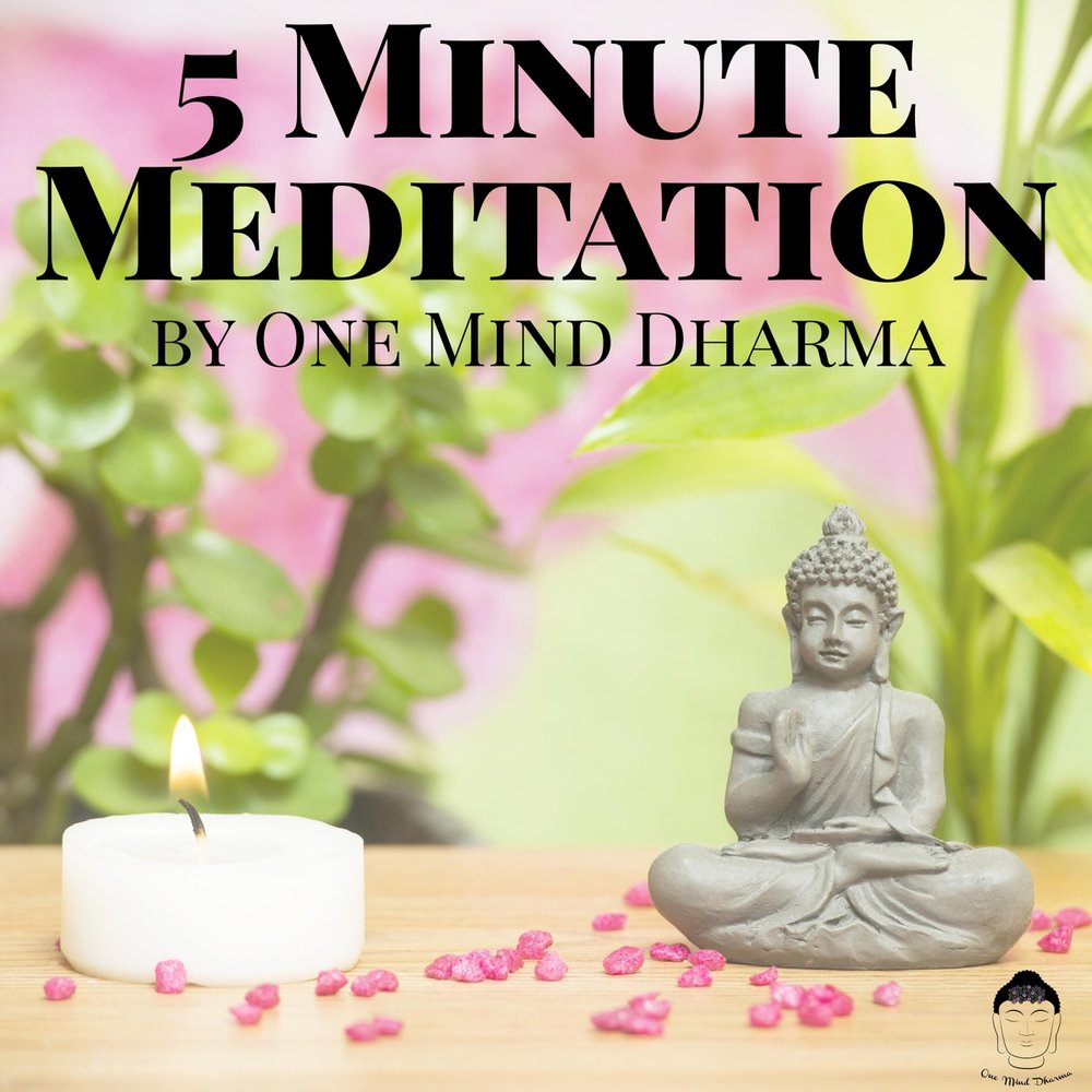 5 Minute Meditation. One Mind. Adi Dharma Бали отзывы. Meditation 1