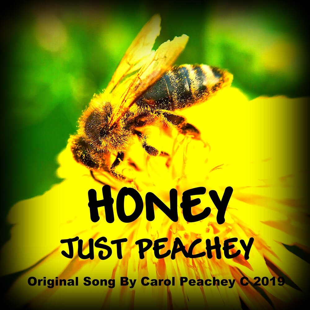 Just honey. Honey c. Listen Honey.