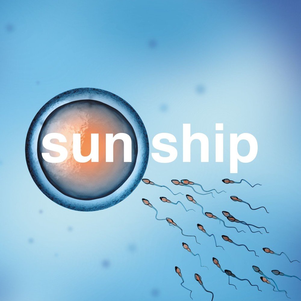 Sun shipping