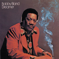 Bobby blue bland dreamer zipper bag pattern