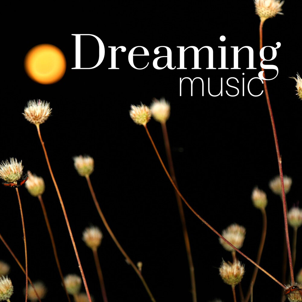 Dreaming light. Dreaming Music. Dream Music. Light Dream.