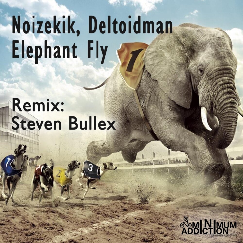 Elephant remix. Elephant альбом. Elephant Fly. Альбом слон рэп альбом. У какого музыкального альбома слон на обложке.